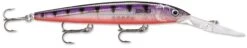 Rapala Down Deep Husky Jerk 12 Deep Diving Jerkbait -Reels And Baits Sales 12564582727735