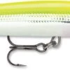 Rapala Down Deep Husky Jerk 10 Deep Diving Jerkbait 2 Rapala Down Deep Husky Jerk 10 Deep Diving Jerkbait -Reels And Baits Sales 12564593410103