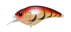 Megabass Sonicside Medium Diving Crankbait -Reels And Baits Sales 12963920642103