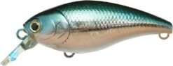 Lucky Craft Moonsault CB-50 Waking Crankbait -Reels And Baits Sales 13025150500919