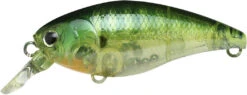 Lucky Craft Moonsault CB-50 Waking Crankbait -Reels And Baits Sales 13025150697527