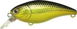 Lucky Craft Moonsault CB-50 Waking Crankbait -Reels And Baits Sales 13025150763063