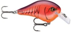 Rapala DT Fat 03 Shallow Square Bill Crankbait -Reels And Baits Sales 31333941149785