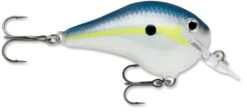 Rapala DT Fat 03 Shallow Square Bill Crankbait -Reels And Baits Sales 31333941182553