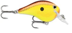 Rapala DT Fat 03 Shallow Square Bill Crankbait -Reels And Baits Sales 31333941215321