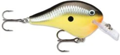 Rapala DT Fat 03 Shallow Square Bill Crankbait -Reels And Baits Sales 31333941280857