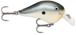 Rapala DT Fat 03 Shallow Square Bill Crankbait -Reels And Baits Sales 31333941313625