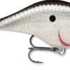 Rapala DT Fat 03 Shallow Square Bill Crankbait -Reels And Baits Sales 31333941346393