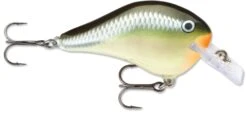 Rapala DT Fat 03 Shallow Square Bill Crankbait -Reels And Baits Sales 31333941379161