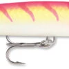 Rapala Jointed Deep Husky Jerk 12 Jerkbait/Trolling Minnow -Reels And Baits Sales 31334065537113