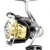 Daiwa Procyon LT Spinning Reels -Reels And Baits Sales 31403870912601