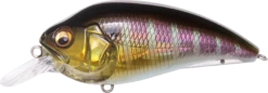 Megabass Super-Z Z-1 Medium Diving Crankbait 17 Megabass Super-Z Z-1 Medium Diving Crankbait -Reels And Baits Sales 31680778960985