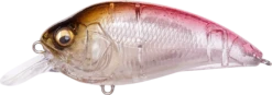 Megabass Super-Z Z-1 Medium Diving Crankbait 20 Megabass Super-Z Z-1 Medium Diving Crankbait -Reels And Baits Sales 31680779059289