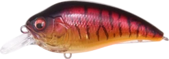 Megabass Super-Z Z-1 Medium Diving Crankbait 21 Megabass Super-Z Z-1 Medium Diving Crankbait -Reels And Baits Sales 31680779092057