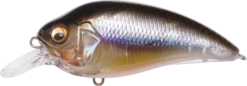 Megabass Super-Z Z-1 Medium Diving Crankbait 22 Megabass Super-Z Z-1 Medium Diving Crankbait -Reels And Baits Sales 31680779124825