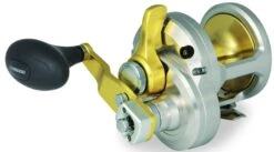Shimano Talica 2-Speed Lever Drag Conventional Reels -Reels And Baits Sales 39256855609433