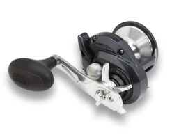 Shimano Torium Star Drag Conventional Reels -Reels And Baits Sales 39267241558105