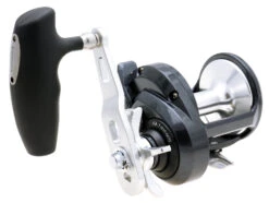 Shimano Torium Star Drag Conventional Reels -Reels And Baits Sales 39267241721945