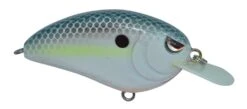 SPRO Little John 50 Type R Shallow Diving Crankbait -Reels And Baits Sales 39332414554201