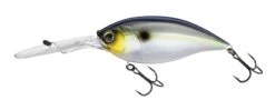 Hardcore Bullet Crank 100F 7+ Extra Deep Crankbait -Reels And Baits Sales 39406623457369