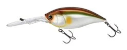 Hardcore Bullet Crank 100F 7+ Extra Deep Crankbait -Reels And Baits Sales 39406623621209