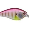 Lucky Craft SKT 110 Mag MR Deep Diving Squarebill Crankbait 2 Lucky Craft SKT 110 Mag MR Deep Diving Squarebill Crankbait -Reels And Baits Sales 39626400006233