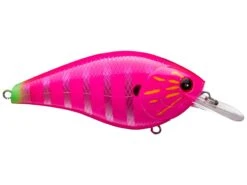 Lucky Craft SKT 110 Mag MR Deep Diving Squarebill Crankbait -Reels And Baits Sales 39626400170073
