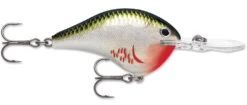 Rapala DT Series Crankbait DT8 -Reels And Baits Sales 39639347134553