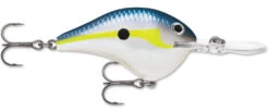Rapala DT Series Crankbait DT8 -Reels And Baits Sales 39639347593305