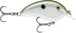 Rapala OG Tiny 04 Shallow Diving Crankbait -Reels And Baits Sales 39756566102105