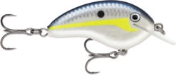 Rapala OG Tiny 04 Shallow Diving Crankbait -Reels And Baits Sales 39756566134873