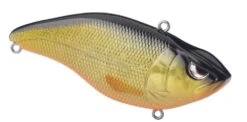 SPRO Aruku Shad 75 Silent -Reels And Baits Sales 39781642993753