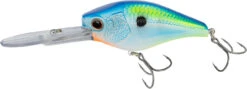 Nomad Design D-Trak Freshwater Extra Deep Diving Crankbait -Reels And Baits Sales 39840486293593