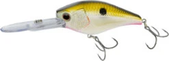 Nomad Design D-Trak Freshwater Extra Deep Diving Crankbait -Reels And Baits Sales 39840486621273