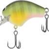 Shimano Macbeth 50F Hybrid Square Bill Crankbait -Reels And Baits Sales 40094938038361