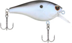 Berkley SquareBull 2 Inch Shallow Squarebill Crankbait -Reels And Baits Sales 40319505530969