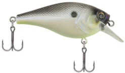 Berkley SquareBull 2 Inch Shallow Squarebill Crankbait -Reels And Baits Sales 40319505563737