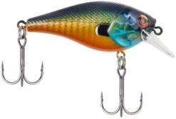 Berkley SquareBull 2 Inch Shallow Squarebill Crankbait -Reels And Baits Sales 40319505694809