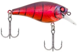 Berkley SquareBull 2 Inch Shallow Squarebill Crankbait -Reels And Baits Sales 40319505793113