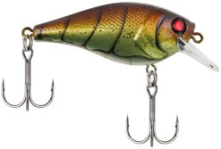 Berkley SquareBull 2 Inch Shallow Squarebill Crankbait -Reels And Baits Sales 40319505858649