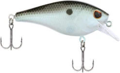 Berkley SquareBull 2 3/4 Inch Shallow Squarebill Crankbait -Reels And Baits Sales 40319508316249