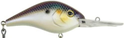 Berkley Dredger Deep Diving Crankbait Deeper Diving Models -Reels And Baits Sales 40325002985561