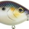 Berkley Dredger Deep Diving Crankbait Deeper Diving Models -Reels And Baits Sales 40325003018329