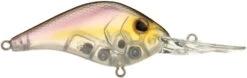 Berkley Dredger Deep Diving Crankbait Deeper Diving Models -Reels And Baits Sales 40325003182169