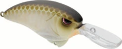SPRO Outsider MR 60 Crankbait -Reels And Baits Sales 40342466396249
