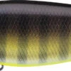 Evergreen International XV-5 X-Over Hybrid Jerk Crankbait