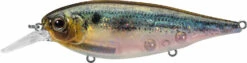 Evergreen International XV-5 X-Over Hybrid Jerk Crankbait -Reels And Baits Sales 40378015023193
