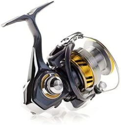 Daiwa Regal LT Spinning Reel -Reels And Baits Sales 418E3HhhrIL. AC