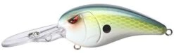 SPRO Mike McClelland RkCrawler 55 Deep Diving Crankbait -Reels And Baits Sales Ayu Shad 922eb252 6597 40c6 8dd7 76776bafdde8