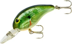 Bandit 200 Series Medium Diving Crankbait -Reels And Baits Sales BDT2B38